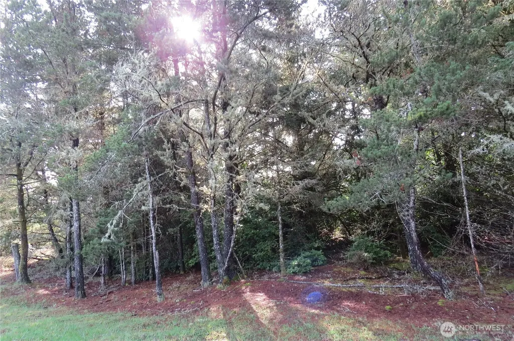 326 Wildwood Avenue SE Ocean Shores WA 98569