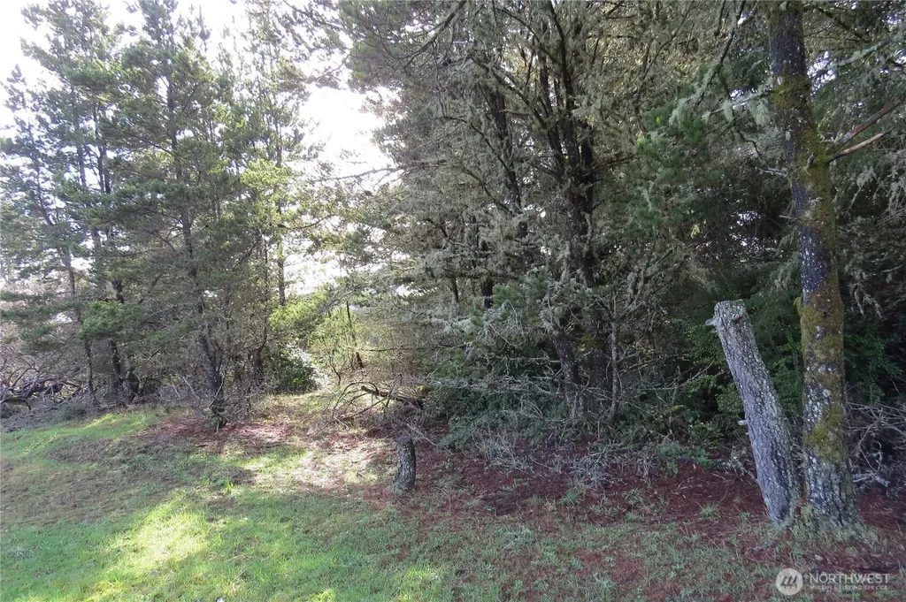 326 Wildwood Avenue SE Ocean Shores WA 98569