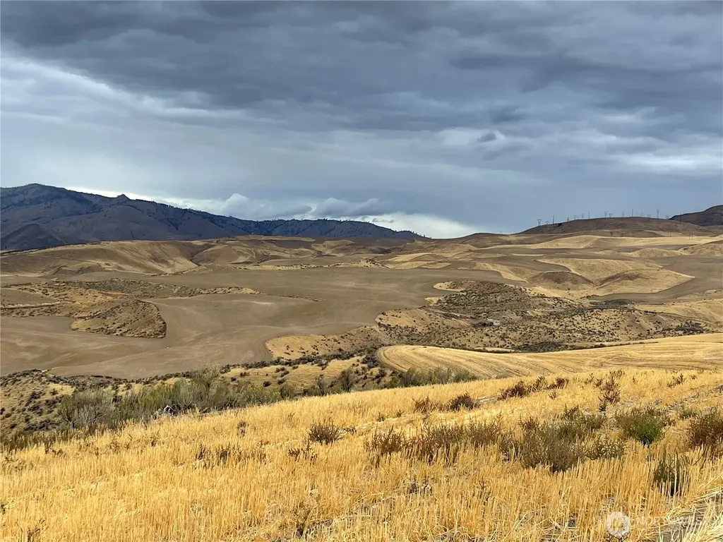 2025 Cougar Ridge Road East Wenatchee WA 98802