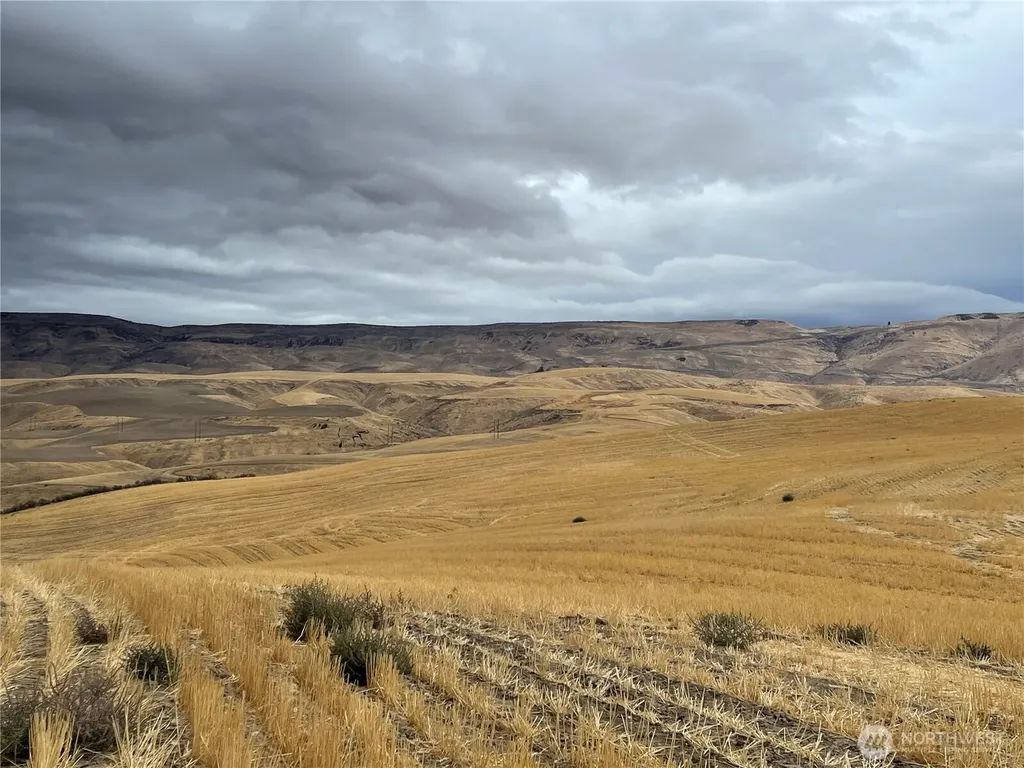 2025 Cougar Ridge Road East Wenatchee WA 98802