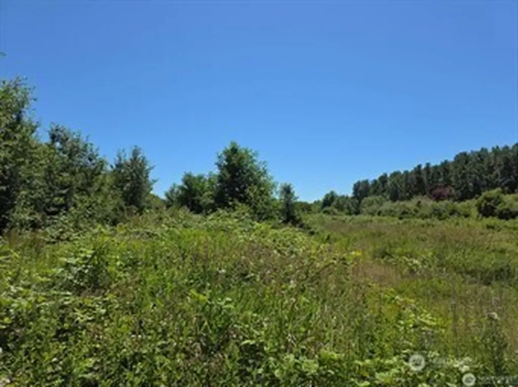 1361 Peltier Drive Point Roberts WA 98281