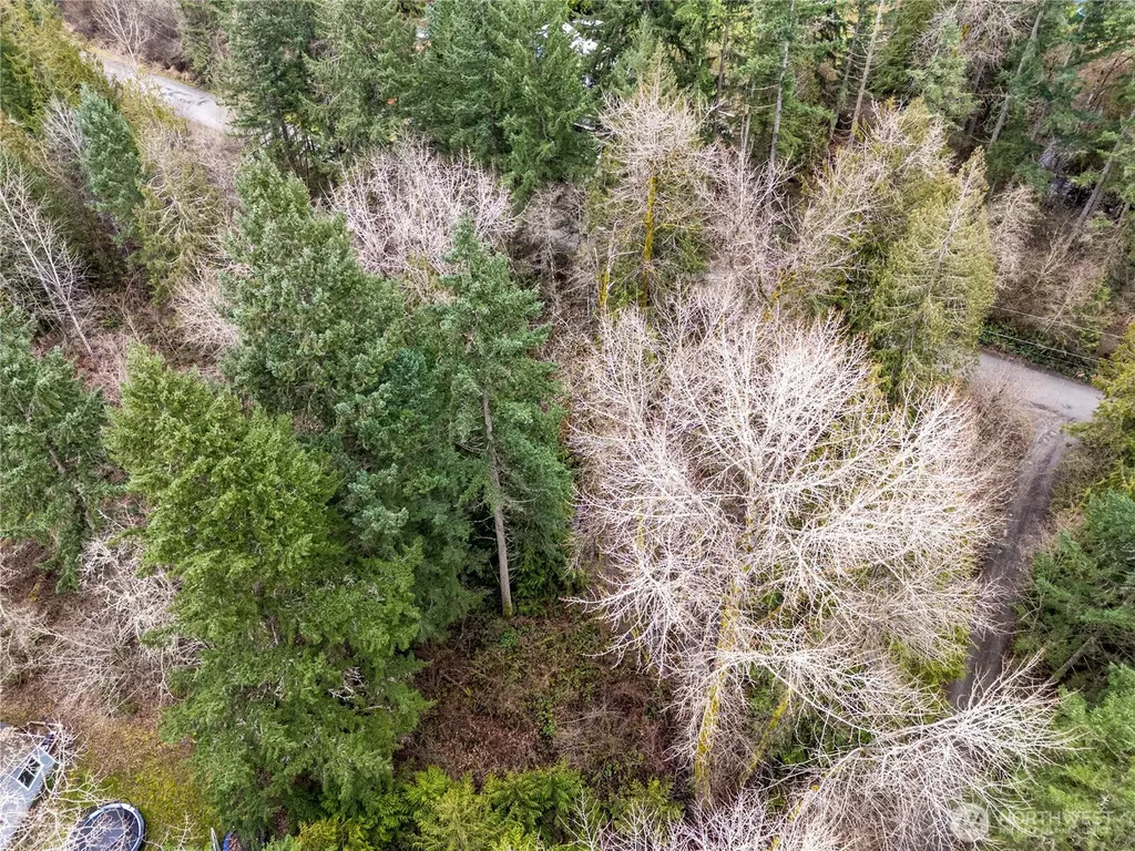29909 68th Avenue S Roy WA 98580