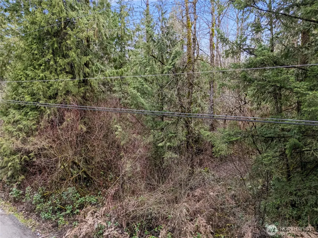 29909 68th Avenue S Roy WA 98580