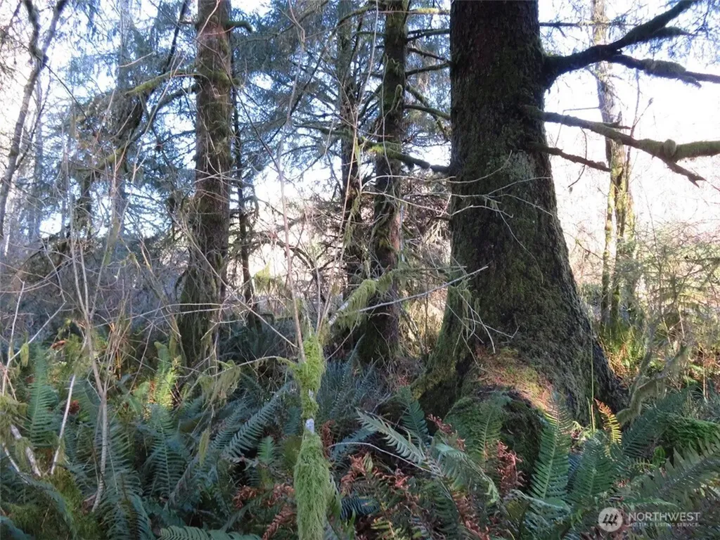 1478 E Hoquiam Road Hoquiam WA 98550