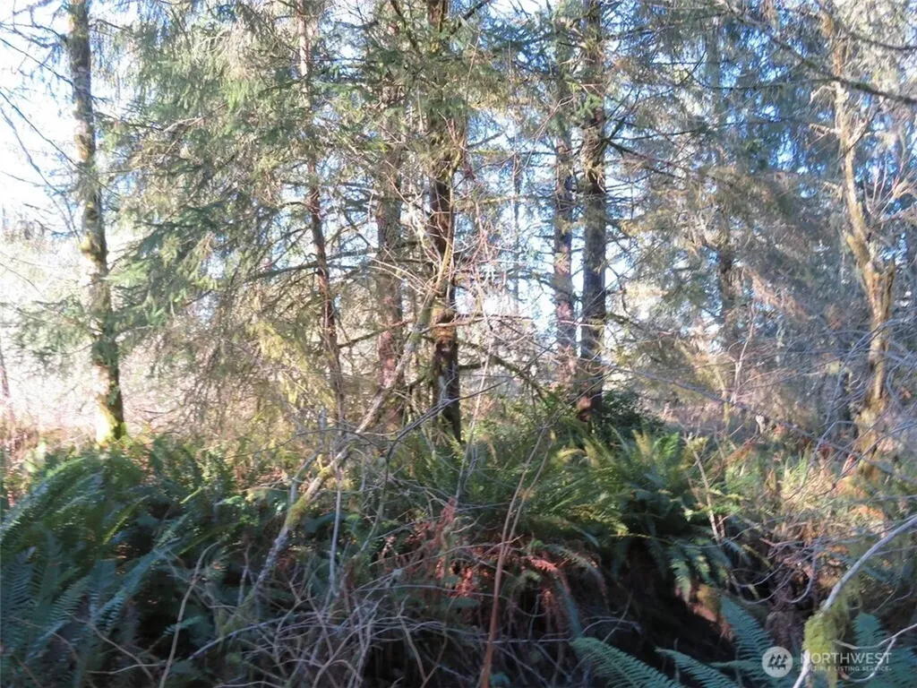 1478 E Hoquiam Road Hoquiam WA 98550