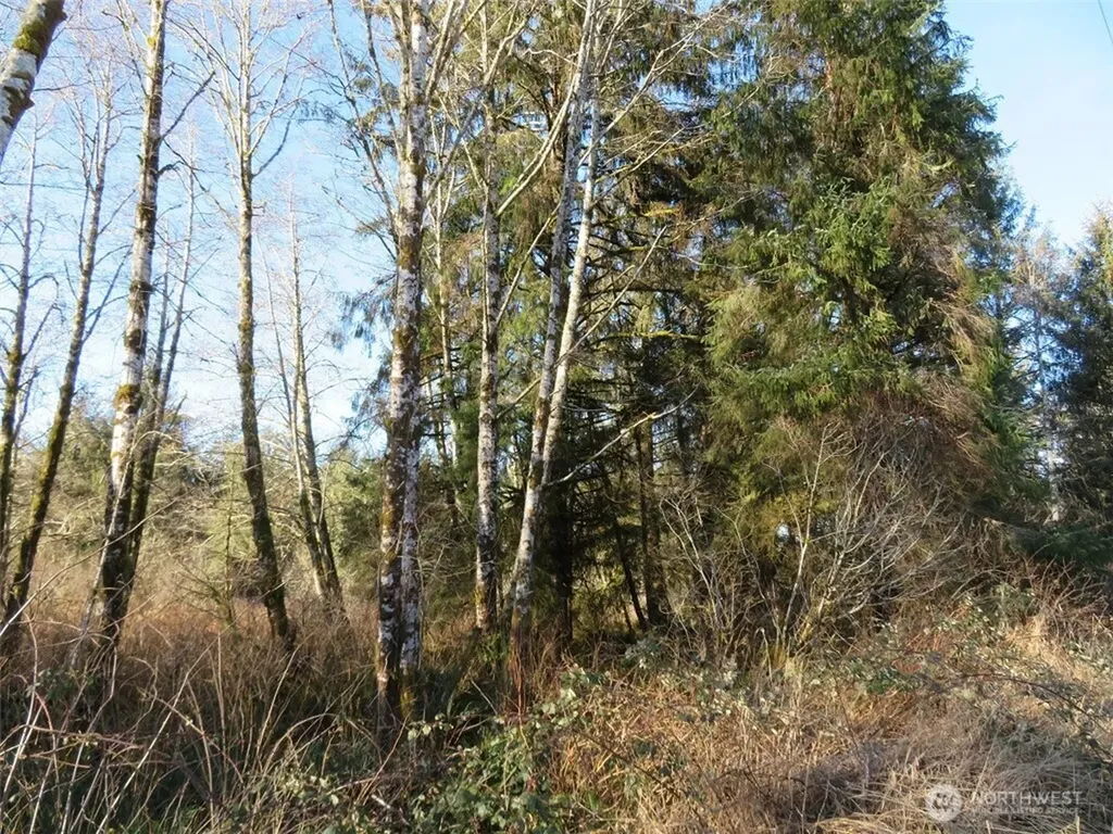 1478 E Hoquiam Road Hoquiam WA 98550
