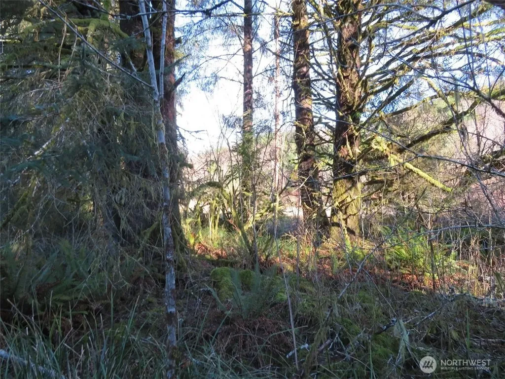 1478 E Hoquiam Road Hoquiam WA 98550
