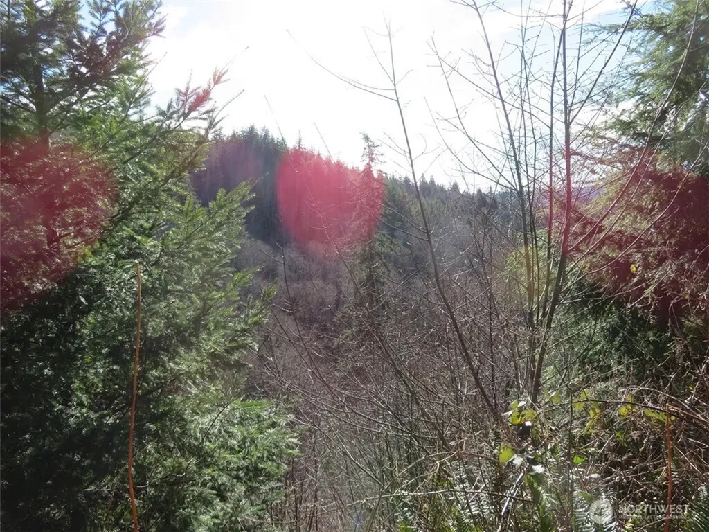 1478 E Hoquiam Road Hoquiam WA 98550