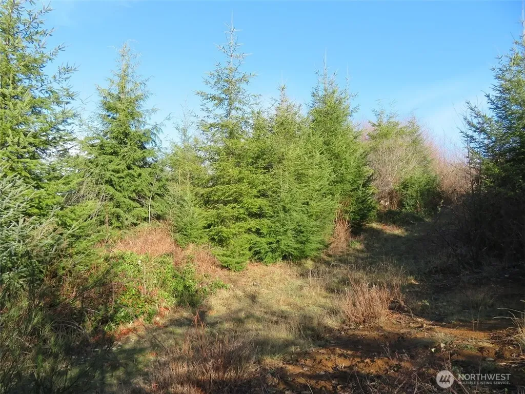 1478 E Hoquiam Road Hoquiam WA 98550