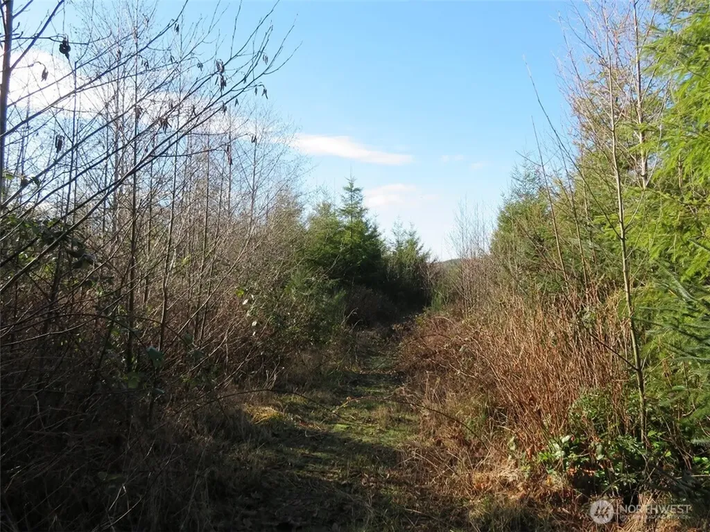 1478 E Hoquiam Road Hoquiam WA 98550