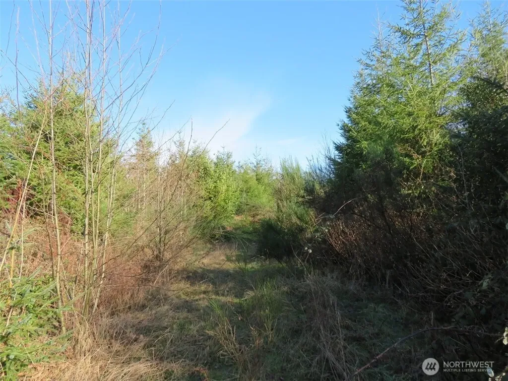 1478 E Hoquiam Road Hoquiam WA 98550