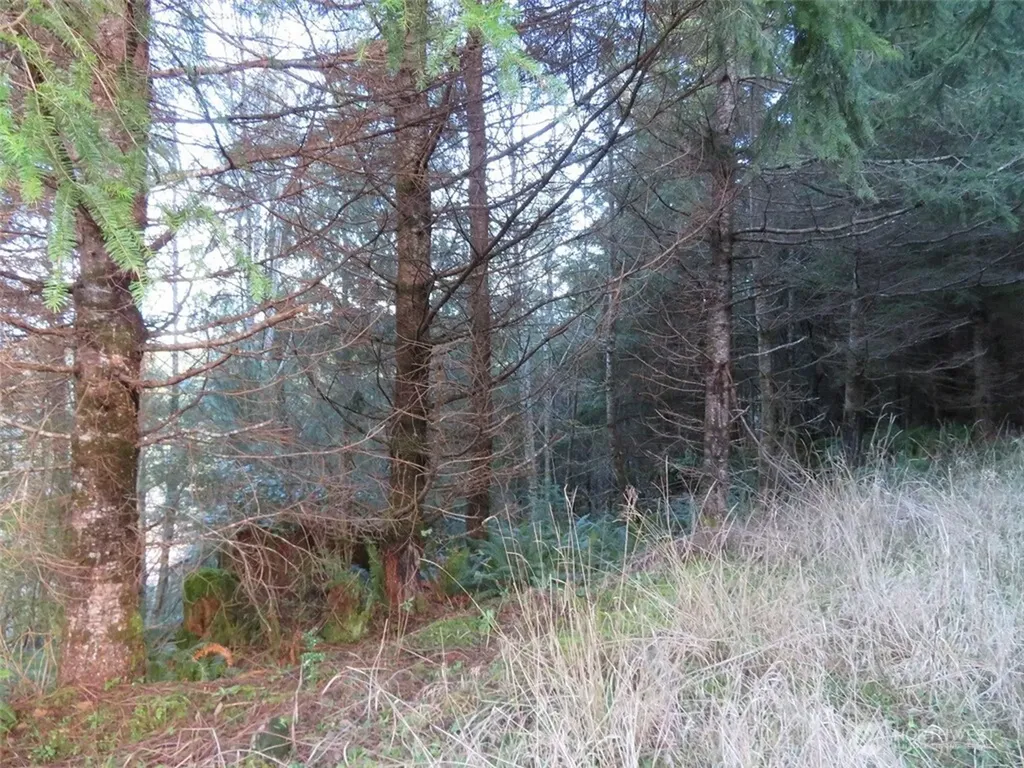 1478 E Hoquiam Road Hoquiam WA 98550
