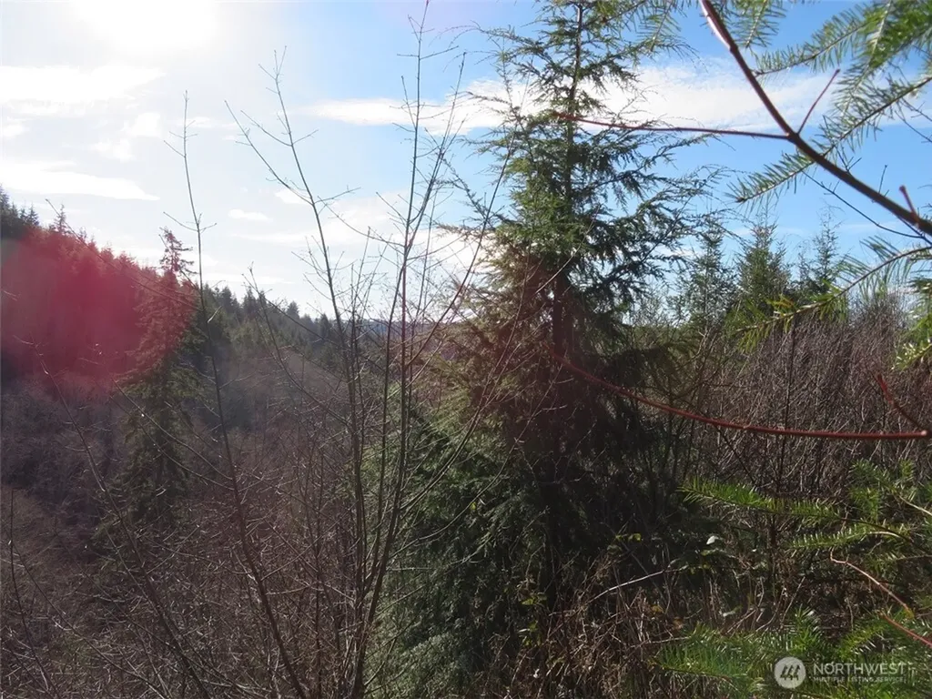 1478 E Hoquiam Road Hoquiam WA 98550