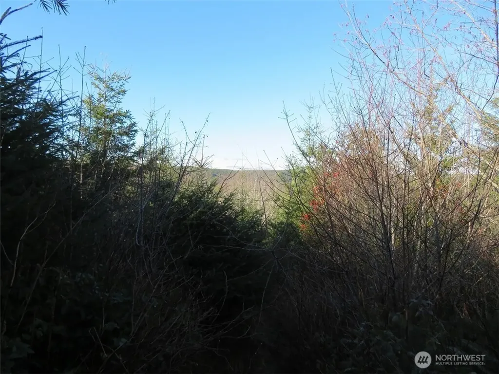 1478 E Hoquiam Road Hoquiam WA 98550