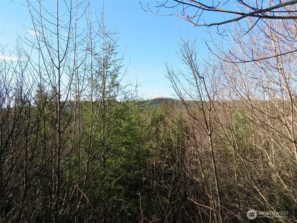 1478 E Hoquiam Road Hoquiam WA 98550