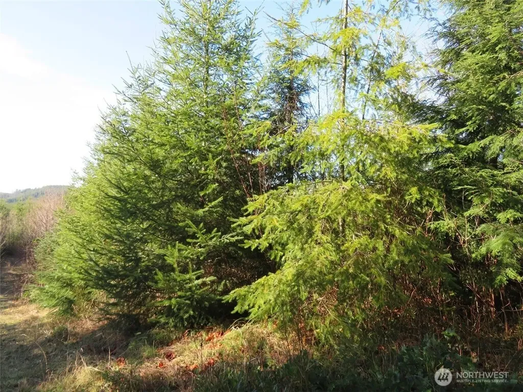 1478 E Hoquiam Road Hoquiam WA 98550