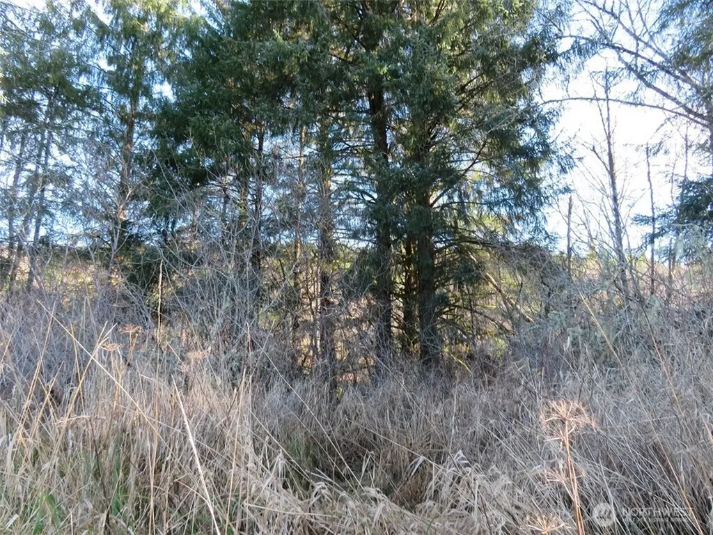 1478 E Hoquiam Road Hoquiam WA 98550