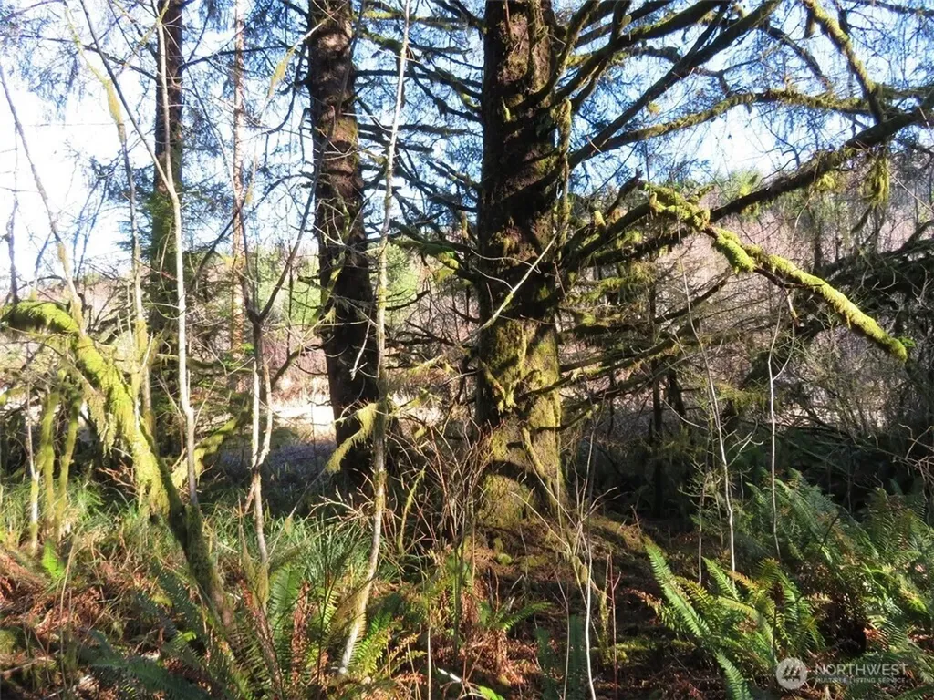 1478 E Hoquiam Road Hoquiam WA 98550