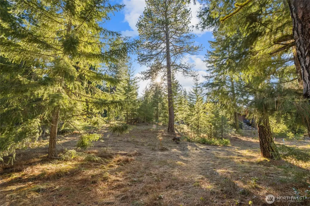 150 Bunchberry Court Cle Elum WA 98922
