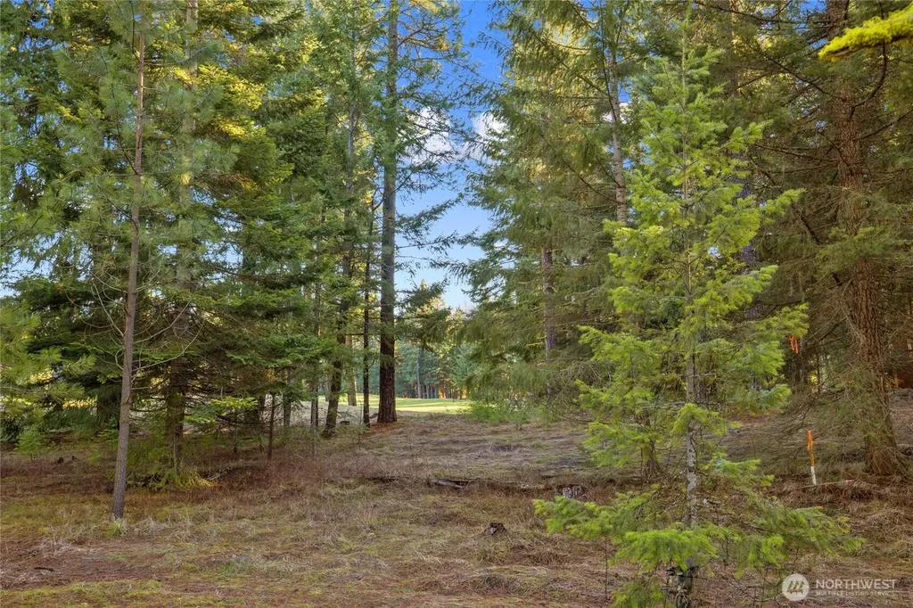 150 Bunchberry Court Cle Elum WA 98922
