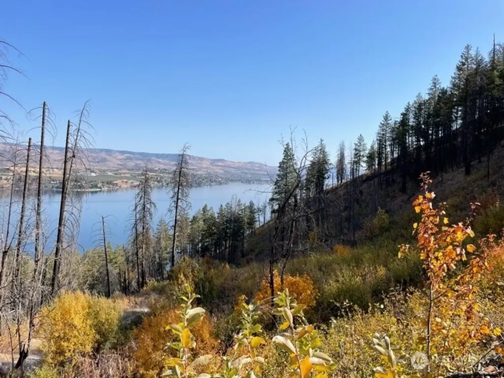 1 S. Lakeshore Road Chelan WA 98816