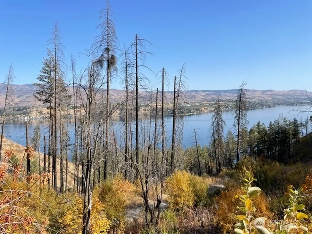 1 S. Lakeshore Road Chelan WA 98816