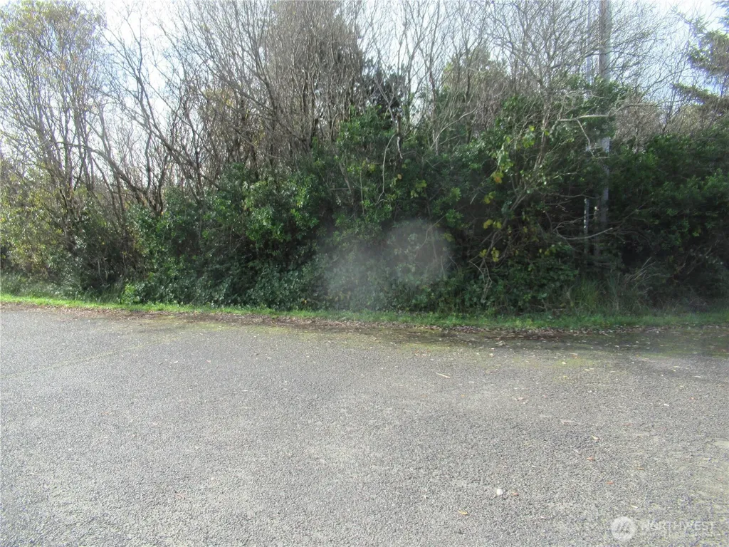 0 Driftwood Dr Drive Ocean Shores WA 98569