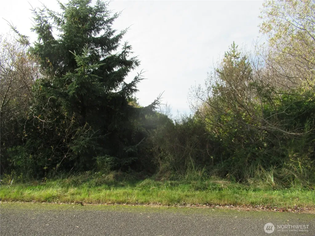 0 Driftwood Dr Drive Ocean Shores WA 98569