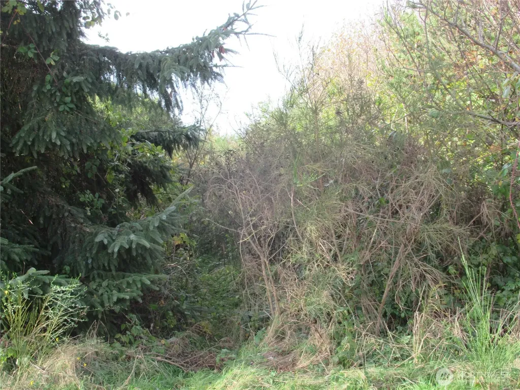 0 Driftwood Dr Drive Ocean Shores WA 98569