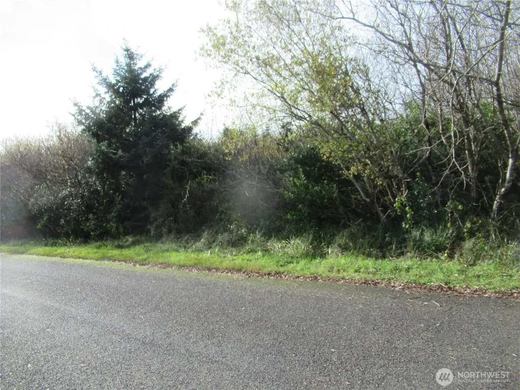 0 Driftwood Dr Drive Ocean Shores WA 98569