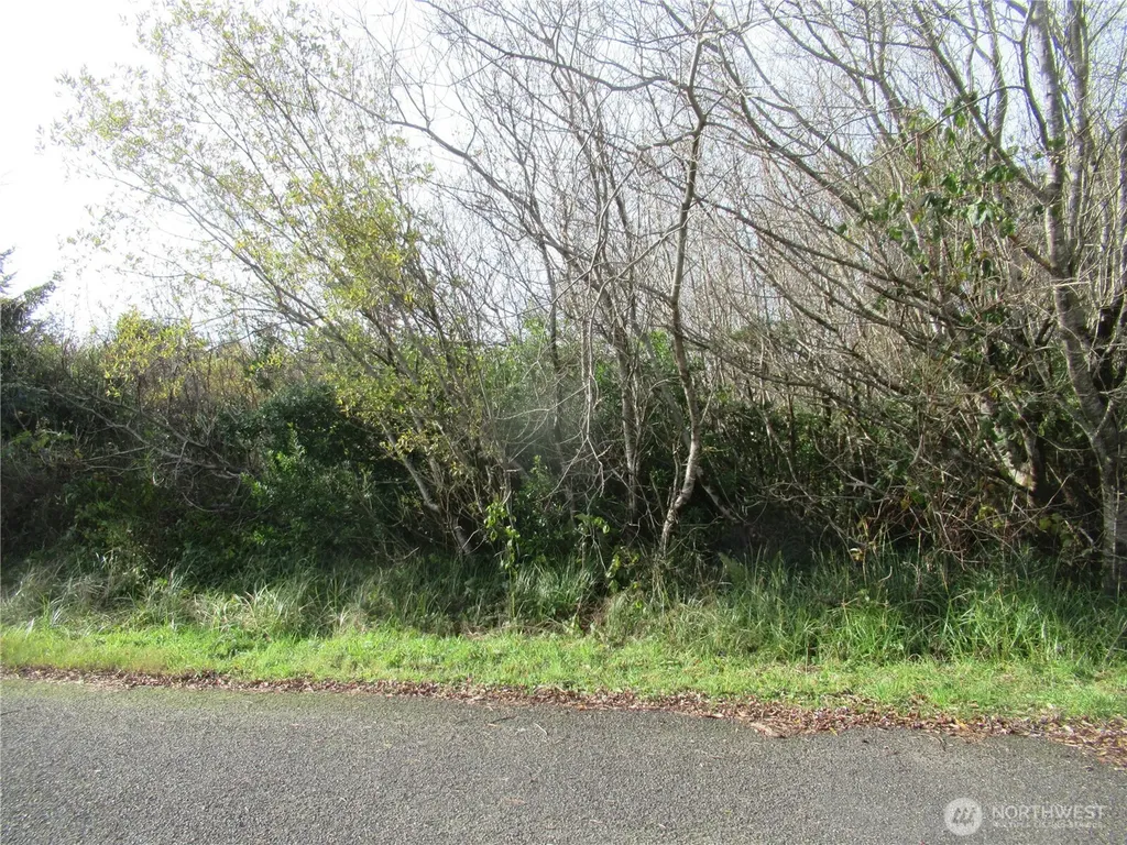 0 Driftwood Dr Drive Ocean Shores WA 98569