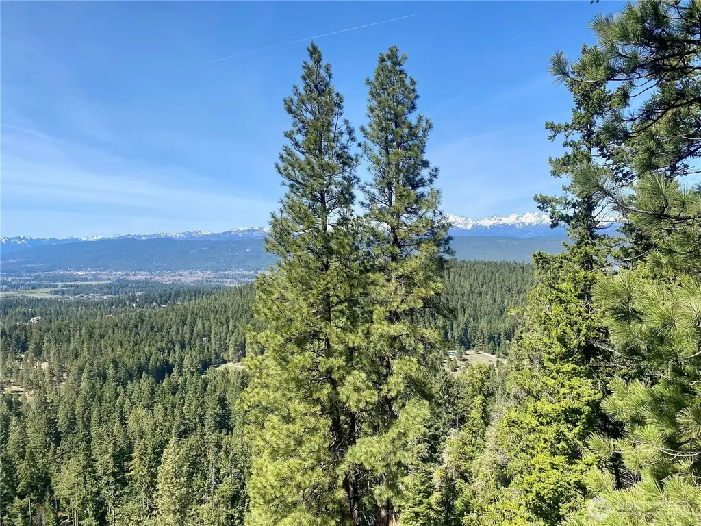 393 Tom & Nita Road Cle Elum WA 98922