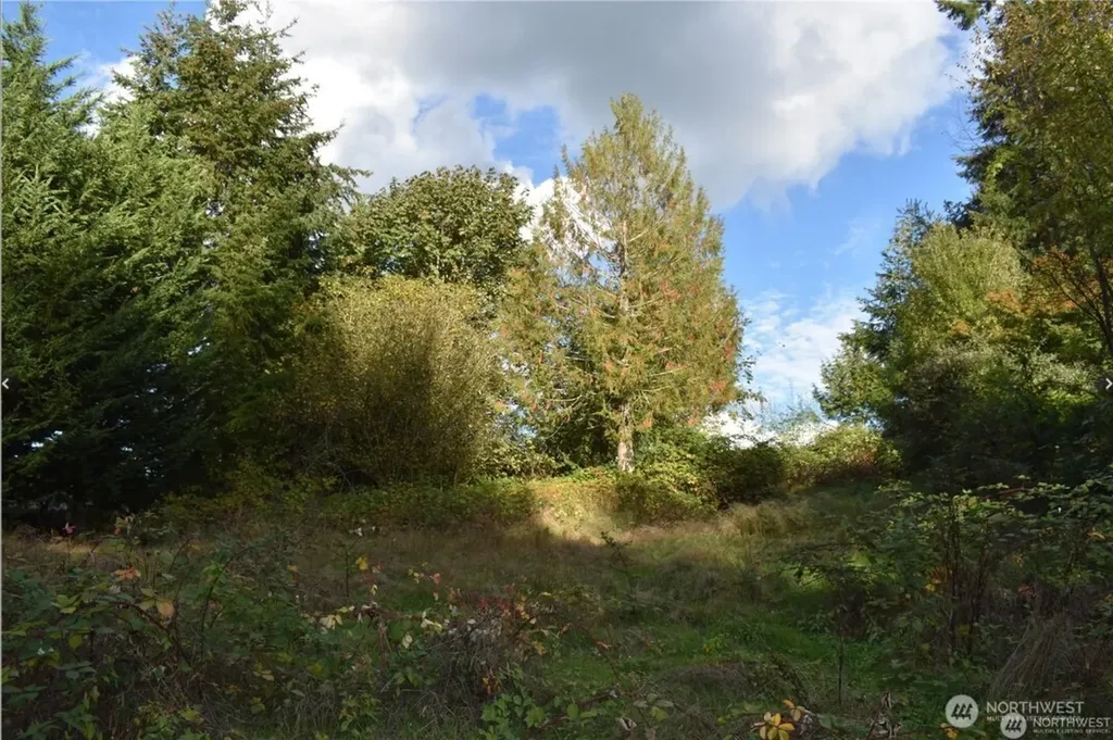 3413 W Tapps Drive E Lake Tapps WA 98391