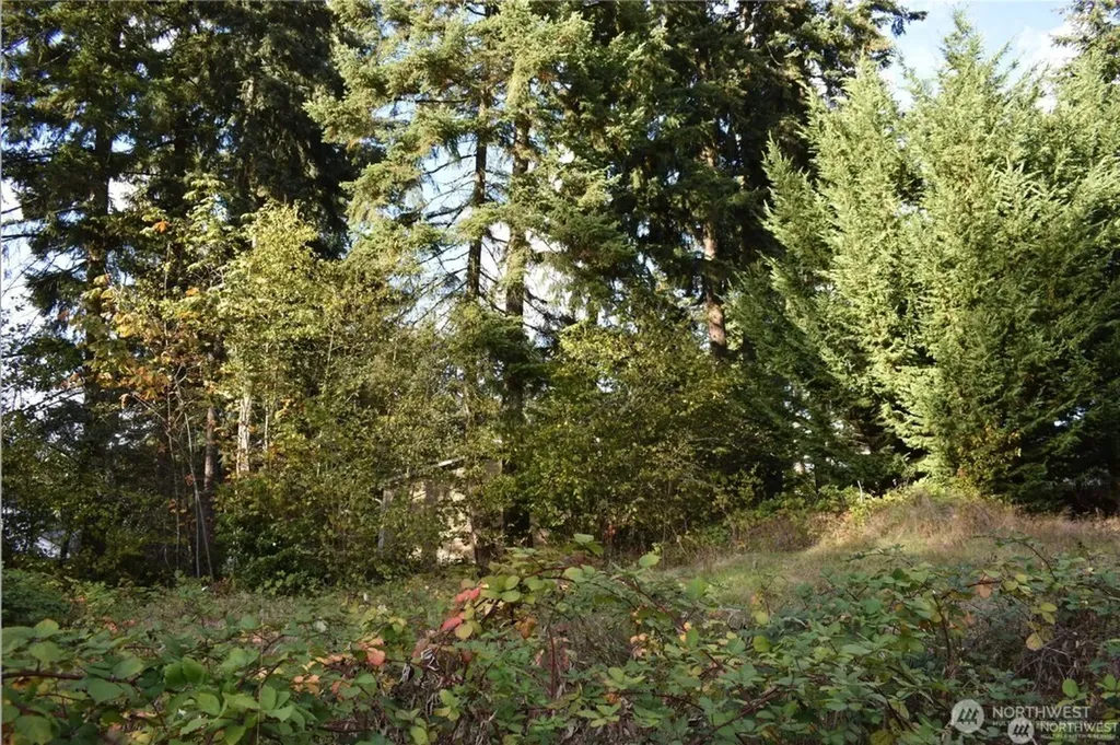 3413 W Tapps Drive E Lake Tapps WA 98391