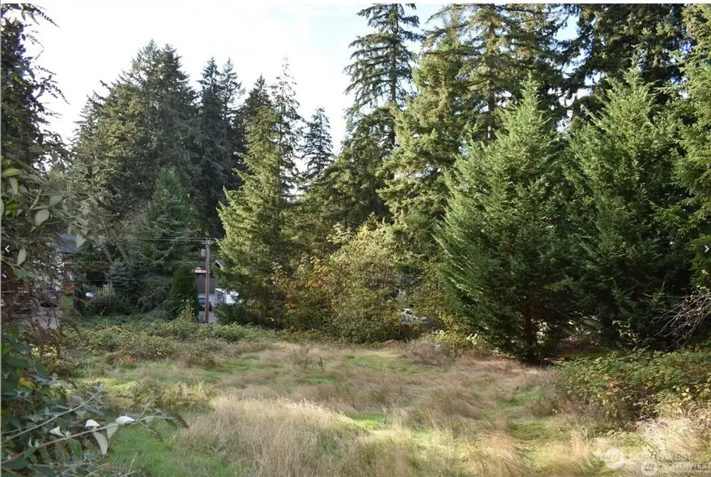 3413 W Tapps Drive E Lake Tapps WA 98391