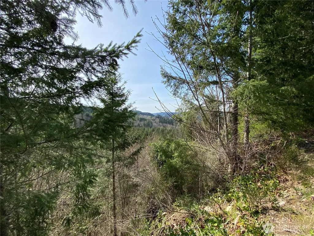 0 250th Avenue E Orting WA 98360