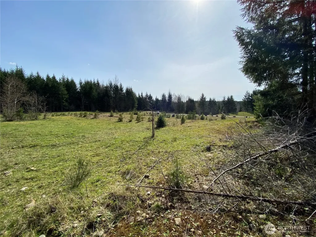 0 Xxx 250th Ave E Orting WA 98360