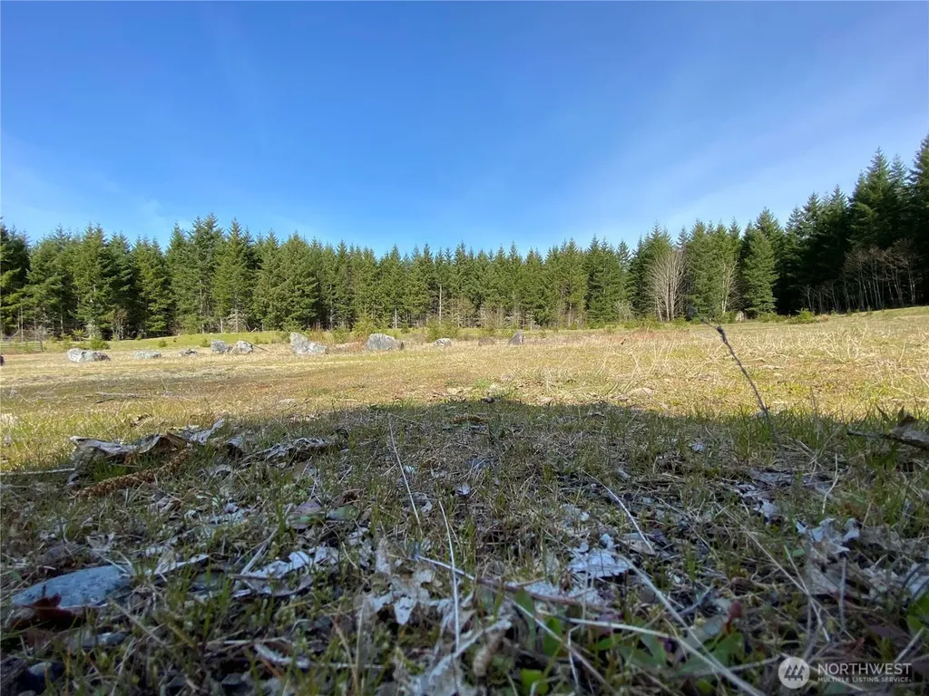 0 250th Avenue E Orting WA 98360