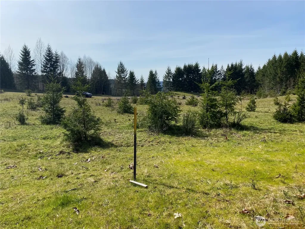 0 Xxx 250th Ave E Orting WA 98360