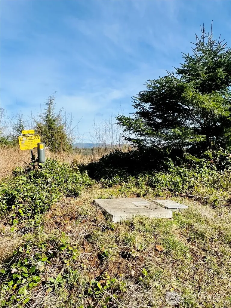 26 Lynn Point Lane South Bend WA 98586