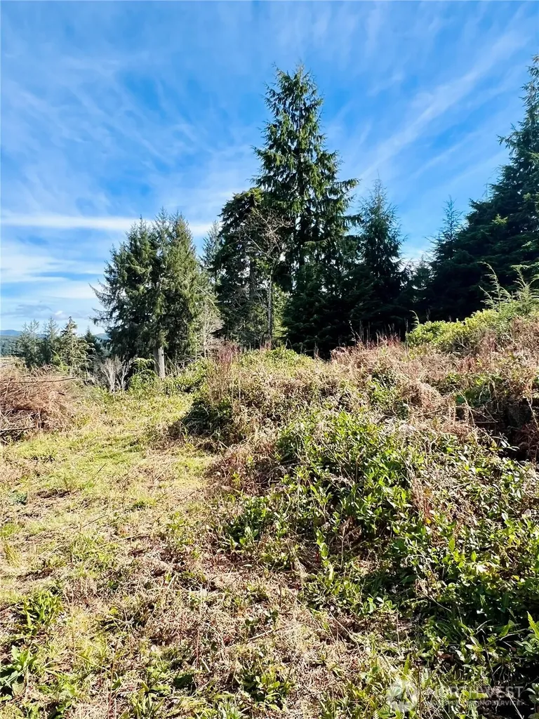 26 Lynn Point Lane South Bend WA 98586