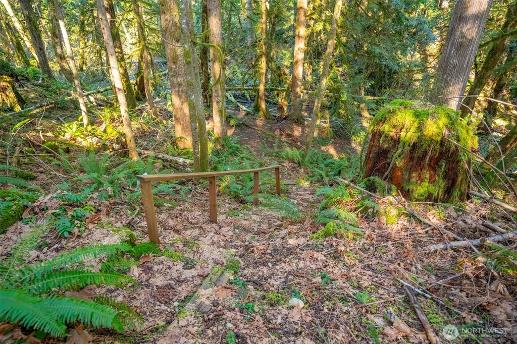 450 Mt Jupiter Place Hoodsport WA 98548