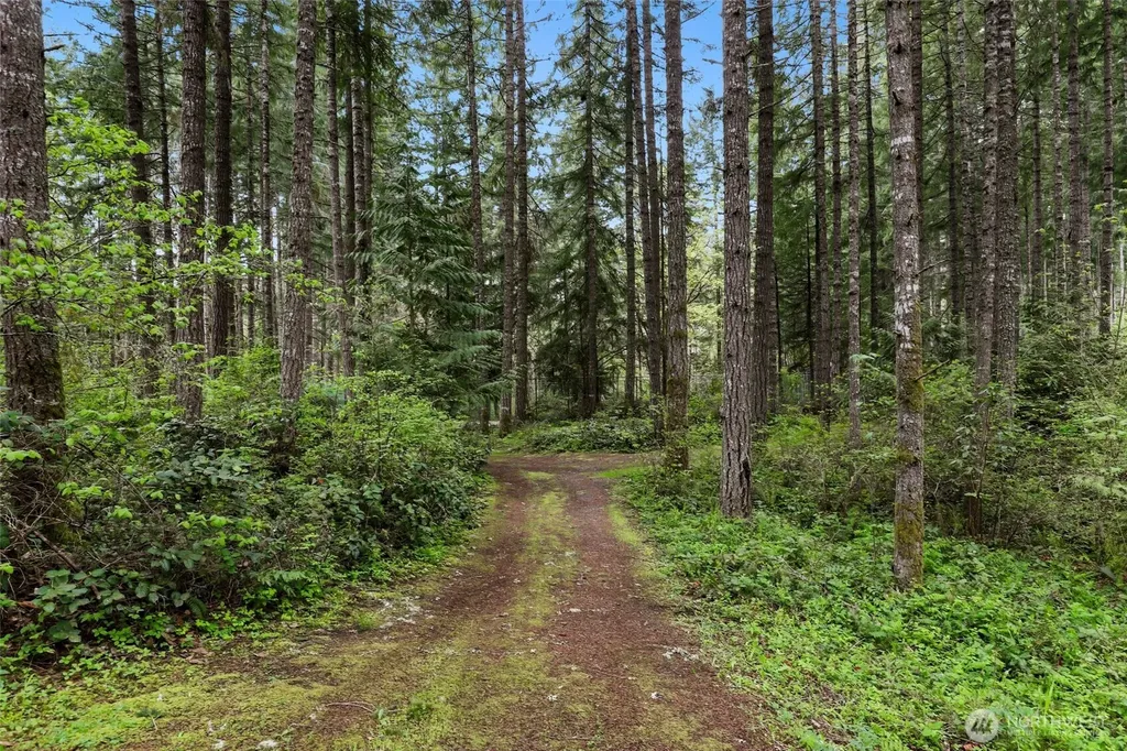 22419 Bluewater Drive SE Yelm WA 98597
