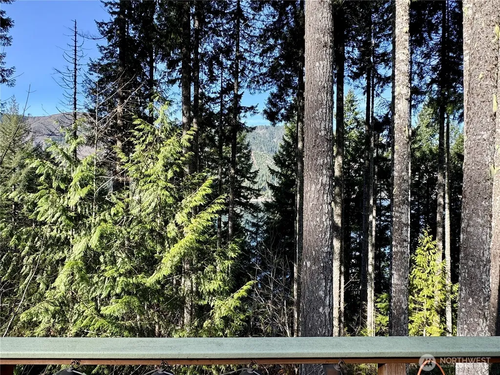 70 N Rim View Place Hoodsport WA 98548