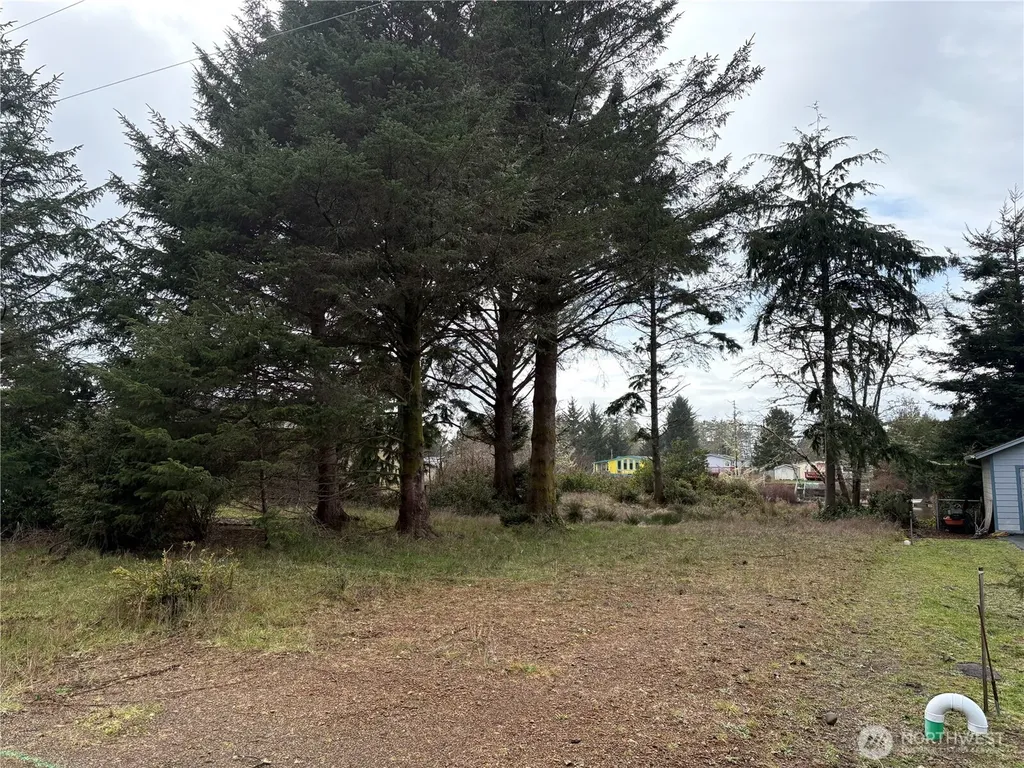 681 Duck Lake Drive NE Ocean Shores WA 98569