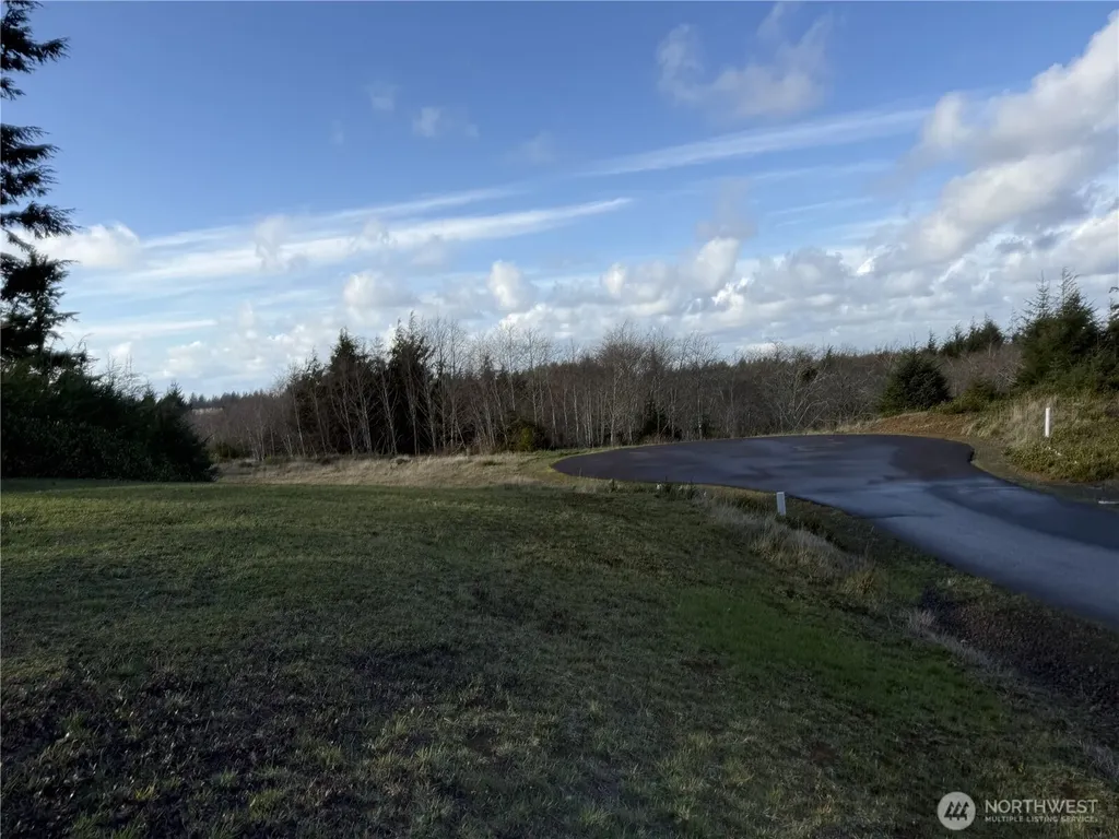 0 Lighthousekeepers Road Ilwaco WA 98624