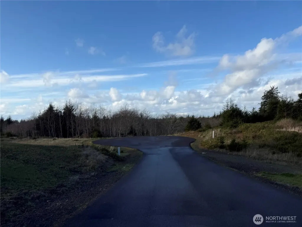 0 Lighthousekeepers Road Ilwaco WA 98624