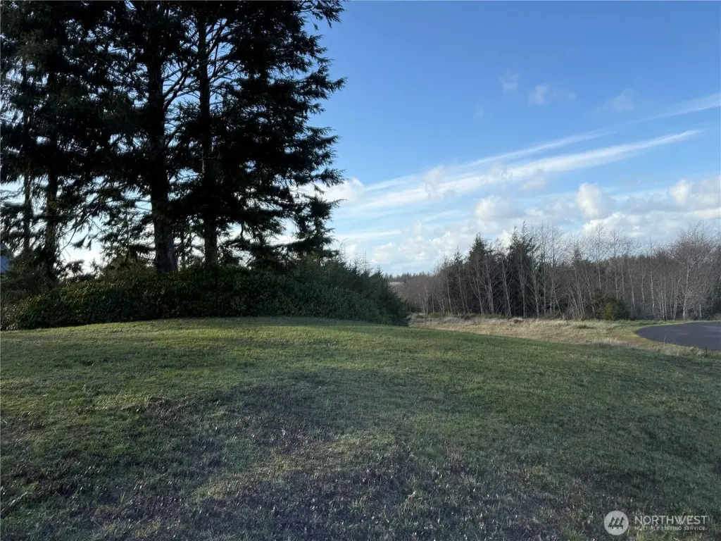 0 Lighthousekeepers Road Ilwaco WA 98624