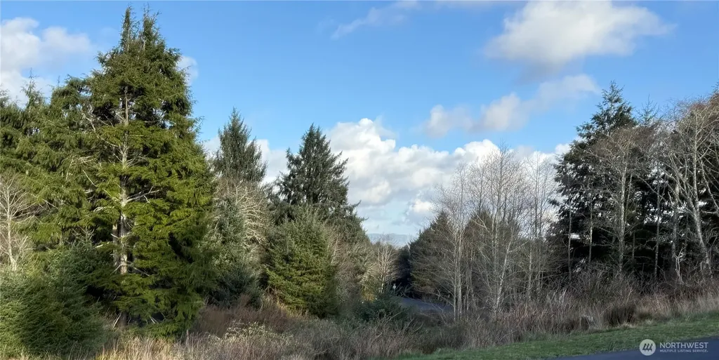 0 Lighthousekeepers Road Ilwaco WA 98624