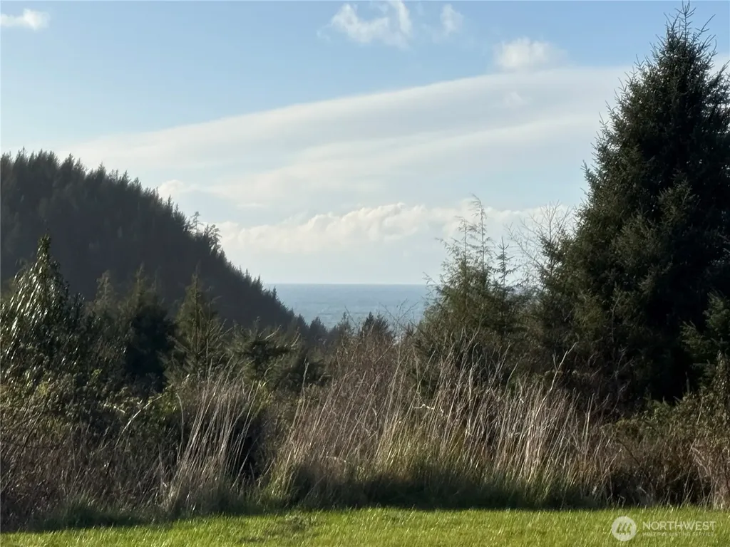 0 Lighthousekeepers Road Ilwaco WA 98624